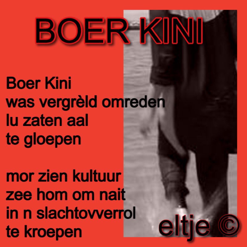 Boerkini
